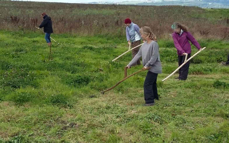 Scything course