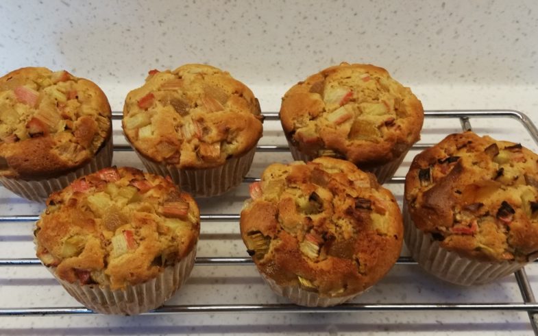 Rhubarb and stem ginger muffins